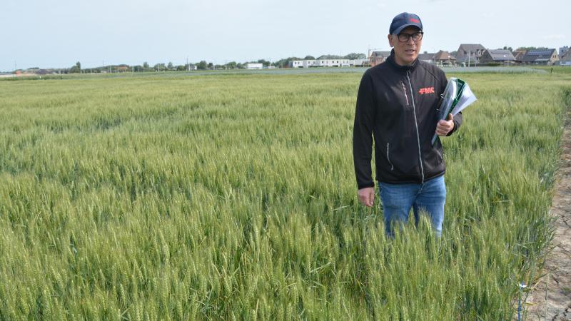 Op het proefperceel in Westende bleek dat de proefmiddelen van FMC zowel in vooropkomst als in vroege naopkomst een meerwaarde bieden tegen probleemduist.