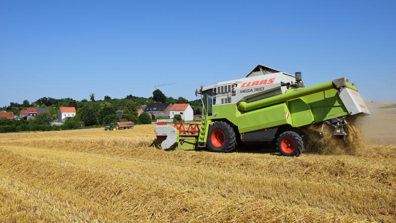 De wereldwijde oogst van granen zou volgens een rapport van de voedselFAO dit jaar 2.925 miljoen ton kunnen bereiken.