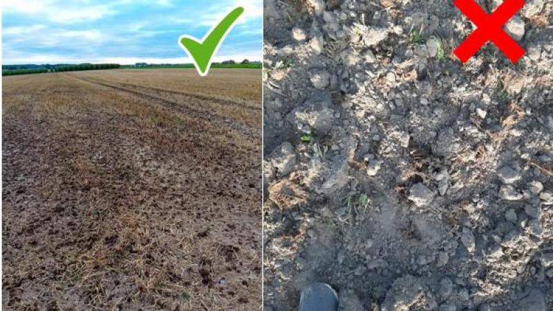 Het Agentschap Landbouw en Zeevisserij duidt de linkse foto aan als ‘goede’ en de rechtse als ‘niet goed’.