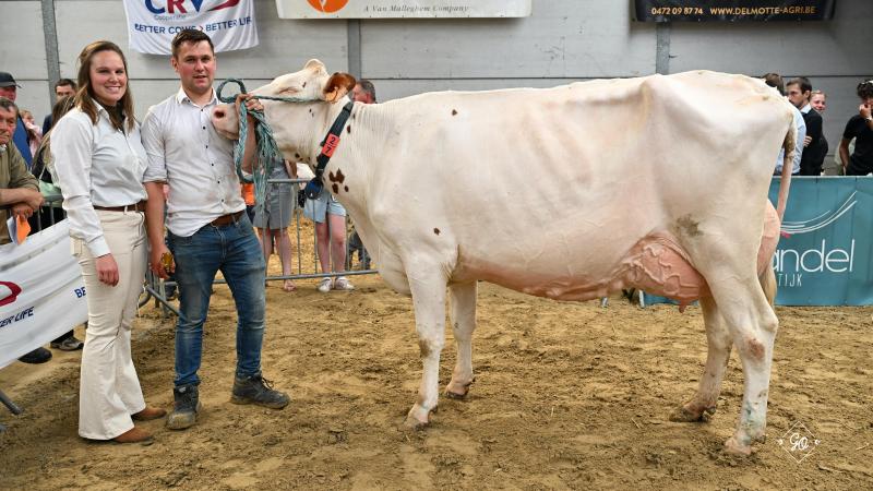 Bij de jonge melkkoeien bevestigde Sandy van Geert Van der Meulen haar klasse.