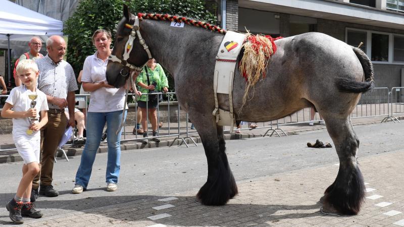Dagkampioene Torhout Lobke van de Molenput, met voorzitter Marcel Wouters van de West-Vlaamse trekpaardenvereniging, Annelies De Brabander en haar zoontje.