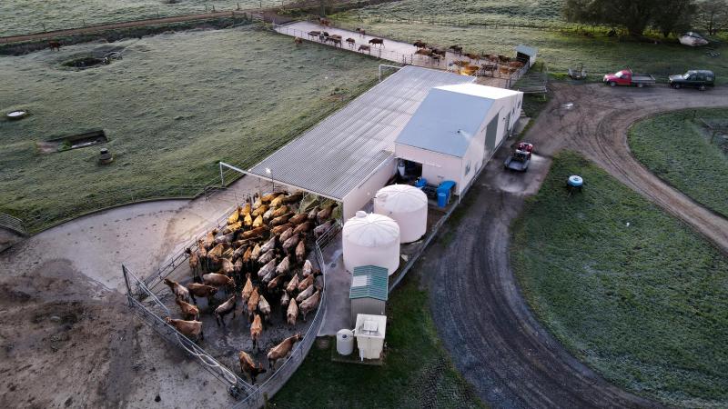 Nog nooit molken de Kiwi’s over mei zo hard. Dit komt omdat de marges voor het aankomende seizoen 2025/2026 er weer heel goed uitzien.