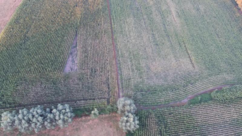 Volgens de conceptnota wordt 30.000 ha in Vlaanderen tot open ruimte herbestemd: 15.000 ha wordt natuur en 15.000 ha wordt landbouwgrond.