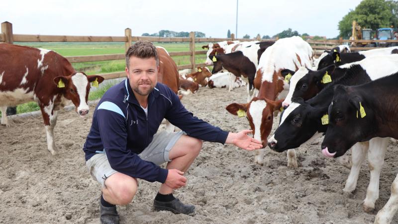 Jacob van Emst: “Na 7 tot 14 dagen gaan onze kalveren naar het kalverstrand, dat gecreëerd is naast de hellingvloerstal. In groepen van circa 20 dieren kunnen de kalveren heerlijk ronddartelen en met elkaar spelen.”