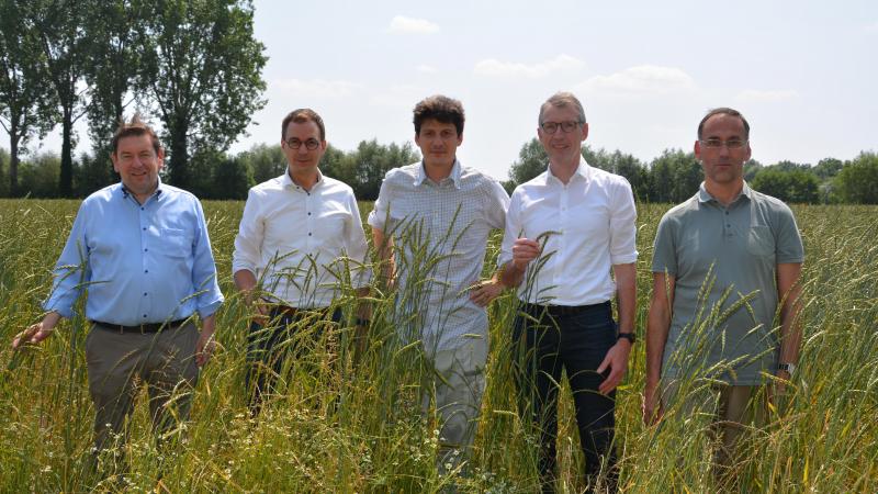 V.l.n.r.: De Vlaamse cd&v-parlementsleden Bart Dochy en Stijn De Roo, biolandbouwer Félix de Bousies en Joris Relaes en Koen Willekens (beiden van ILVO) op een tarweproefveld in Hansbeke.