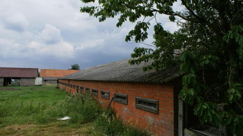 Landbouwers die dat wensen, kunnen ongebruikte mestputten gebruiken als wateropslag