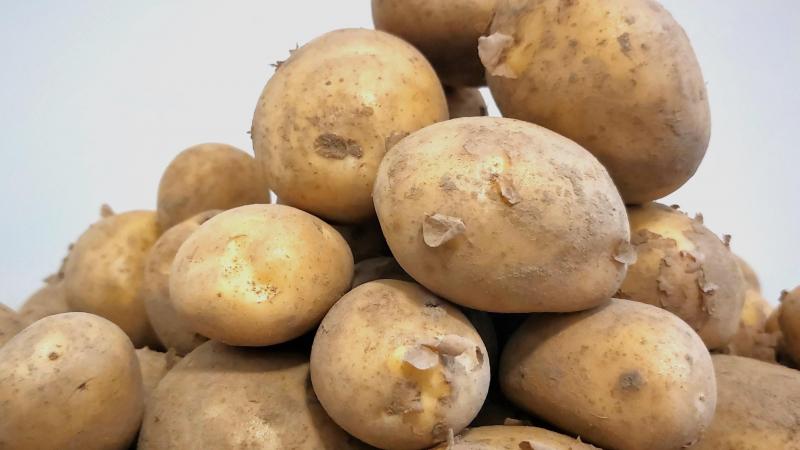 De wet van vraag en aanbod zorgt voor opvallend lage prijzen op de vrije markt voor aardappelen.