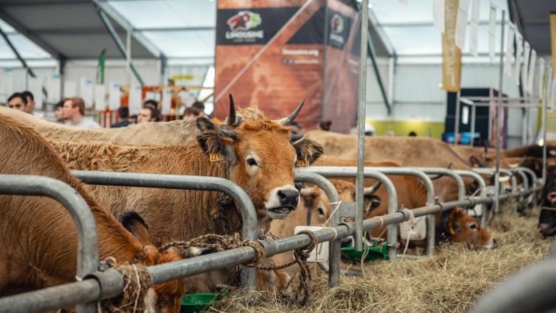 Elk jaar verwelkomt de Sommet de l’Élevage het beste van de Franse en Europese veefokkerij in Clermont-Ferrand.