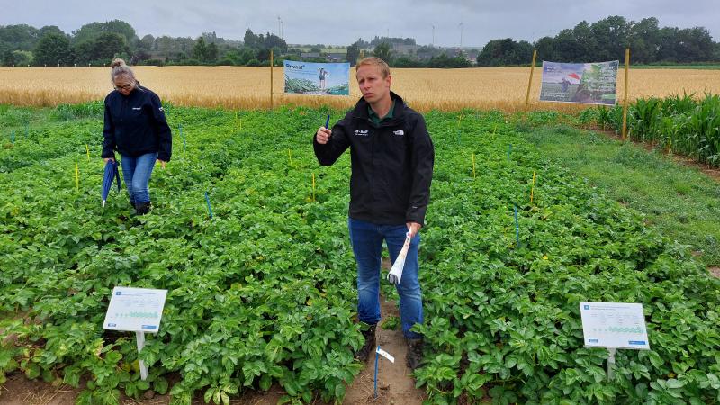In de aardappelteelt kon BASF bij monde van crop advisor Michiel Hubau,  een nieuw fungicide voorstellen,  namelijk Privest.
