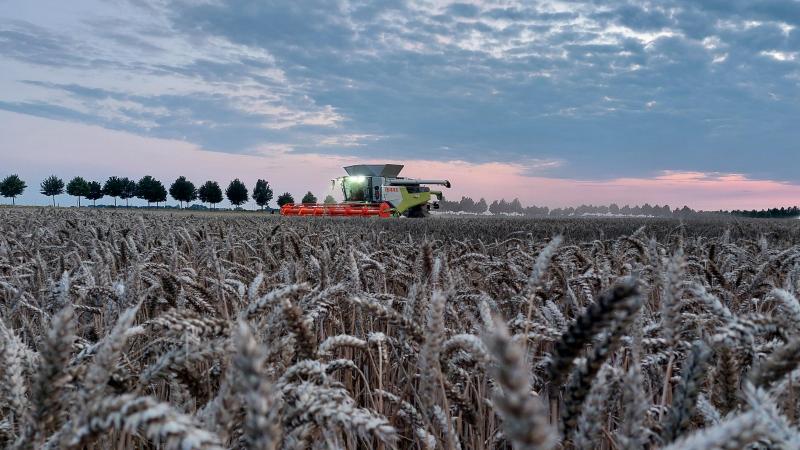Hoeveel pacht de pachter moet betalen geeft soms aanleiding tot een geschil.