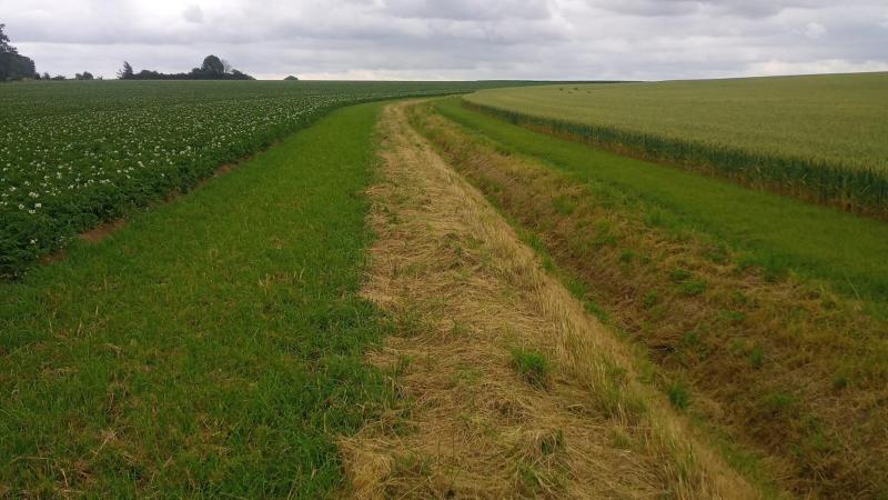 Landbouwers toonden een grote bereidheid om fouten bij de aanleg van beschermingsstroken spontaan recht te zetten.