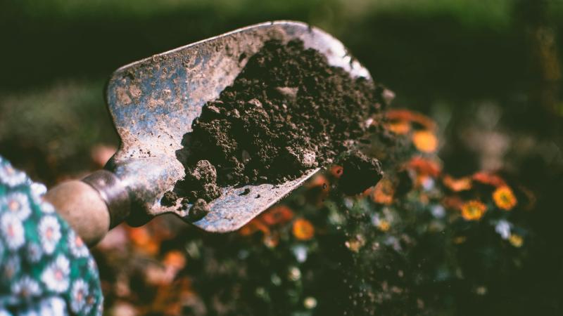 VITO wil met een meetcampagne een globaal beeld krijgen van pesticiden in de bodems van Vlaamse tuinen, bossen, parken en landbouwgronden.