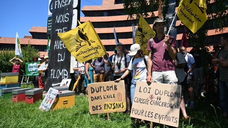 Leden van de landbouwvakbond Confederation Paysanne tijdens een protestdemonstratie tegen de wet-Duplomb in het Zuid-Franse Pau.