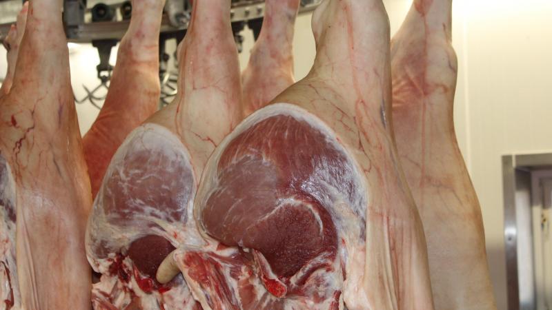 Twaalf Britse bedrijven mogen de komende 5 jaar voor zowat 22 miljoen euro varkensvlees exporteren naar Mexico.
