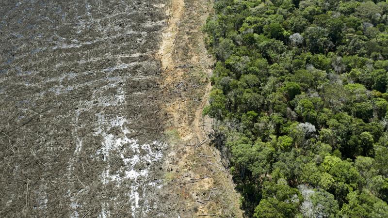 Volgens milieuorganisaties vertraagde het moratorium succesvol ontbossing in het regenwoud van Brazilië.