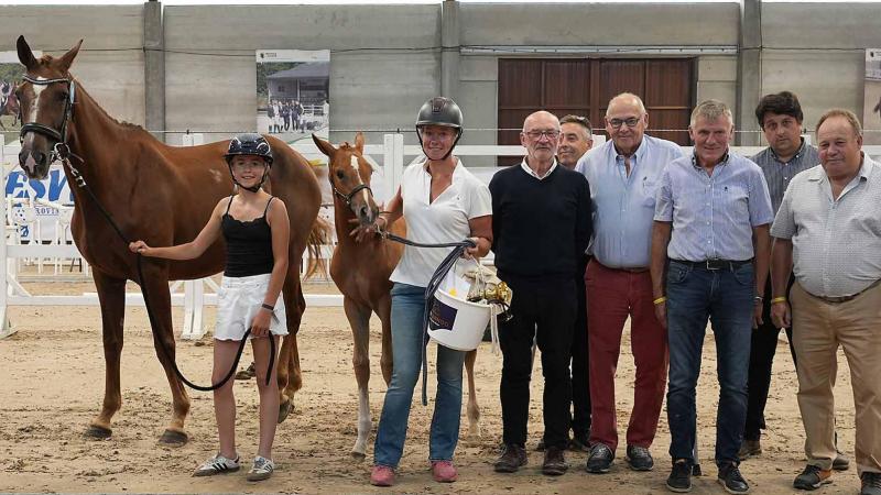 Zangersheide bracht het Belgisch kampioensveulen 2025 met Elegante d’Aubade Z, een dochter van Ermitage Kalone x Vigo d’Arsouilles.