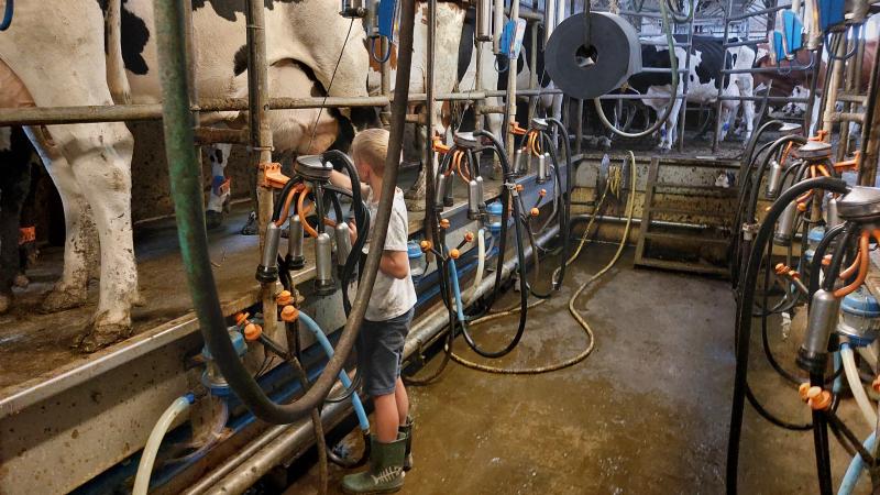 Uit het jaarrapport van brancheorganisatie MilkBE blijkt dat ze opnieuw belangrijke stappen zetten om de Belgische zuivelketen verder te versterken.