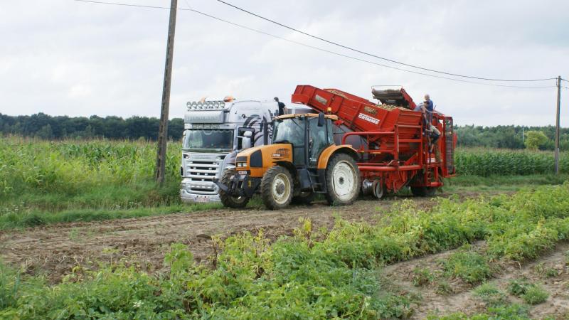 Belgapom deed geen notering op 29 augustus.