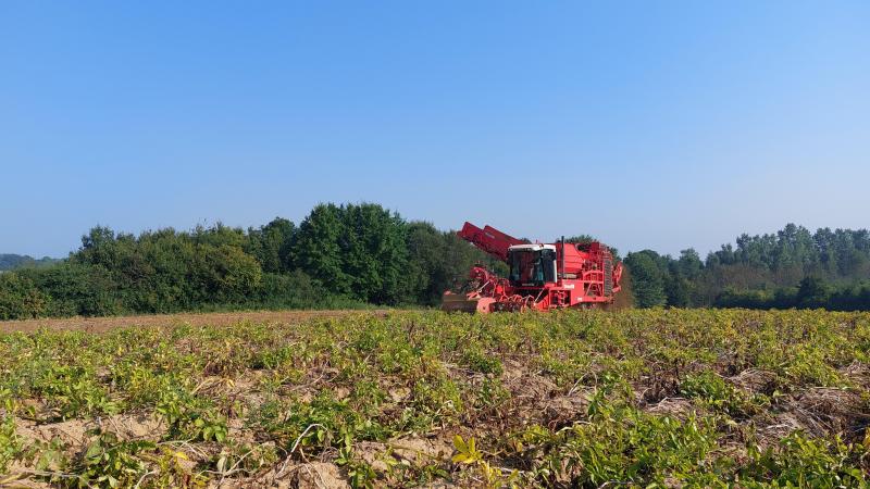 Aardappeltelershebben moeilijke maanden achter de rug en de nabije toekomst ziet er somber uit, stelt de NEPG