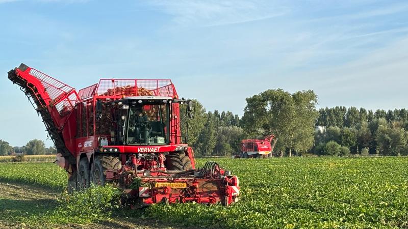 De suikerbietencampagne van 2025 is gestart.