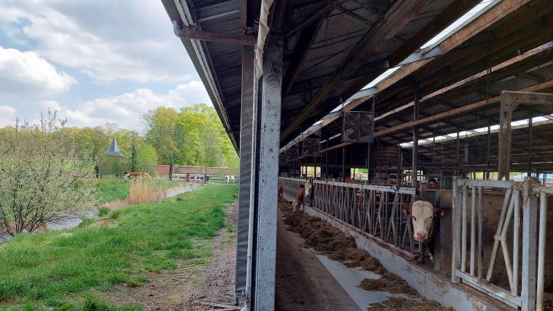 Elf van de 41 piekbelasters uit 2022 zijn vrijwillig gestopt, zo maakte de VLM bekend.