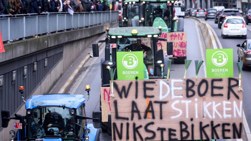 Boerenbond roept op om het politiek toneel rond ‘stikstof’ te stoppen en te werken aan oplossingen.