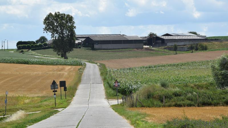 Het merendeel van de deelnemers aan de bevraging vindt dat de open ruimte moet dienen voor landbouw- en voedselproductie.
