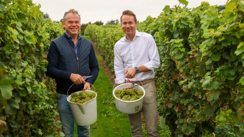 Stefan Këkko (links) en minister Jo Brouns plukten op 18 september druiven in Riemst.