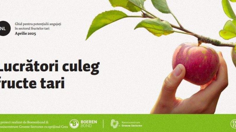 Om de pieken op te vangen doen land- en tuinbouwers in Vlaanderen jaarlijks beroep op zowat 60.000 seizoenarbeiders.