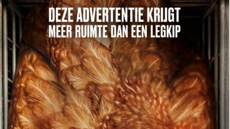 In deze advertentie van Bite Back staan onjuiste gegevens en wordt de consument misleid, stelt de Landsbond Pluimvee.