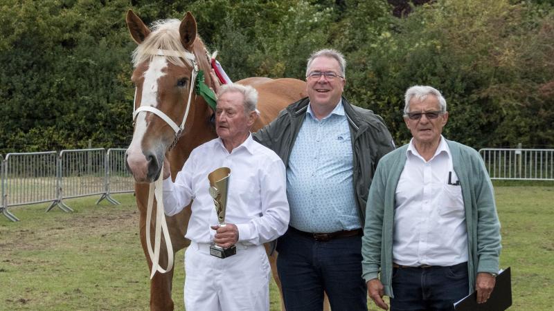 Sully Van Belle, met als eigenaar Bernard Van Renterghem, werd voor de tiende keer dagkampioene bij de merries van het Vlaams paard.