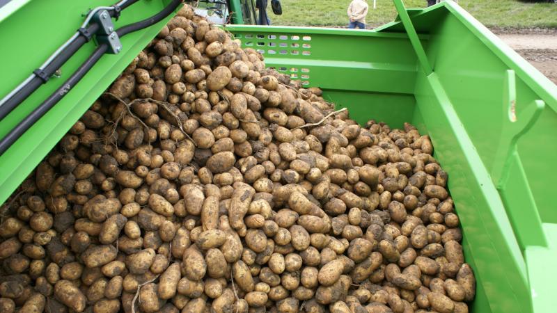 Belgapom meldt op 26 september dat er opnieuw geen Belgapomnotering voor vroege aardappelen is wegens een gebrek aan transacties.