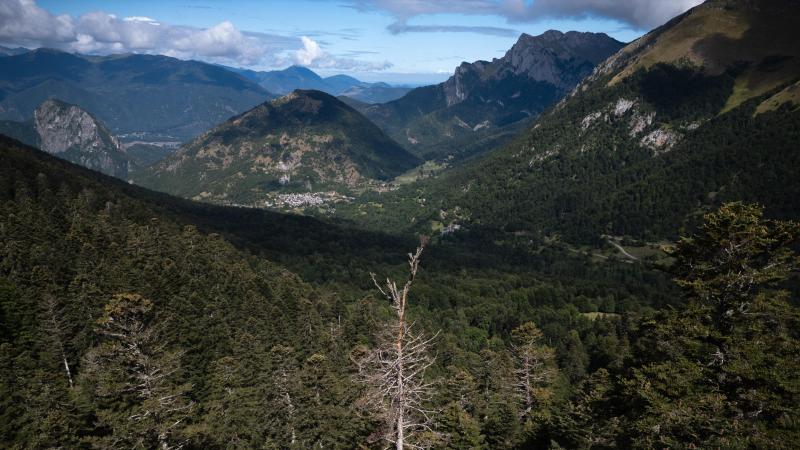 De Europese natuur blijft lijden onder achteruitgang, overexploitatie en verlies van biodiversiteit, aldus het Europees Milieuagentschap.