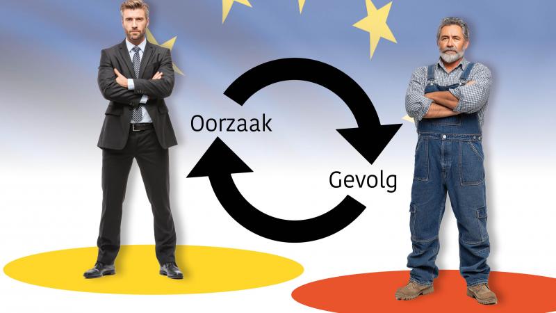 De Vlaamse overheid wil de gevolgen die ze zelf veroorzaakte, aanpakken.
