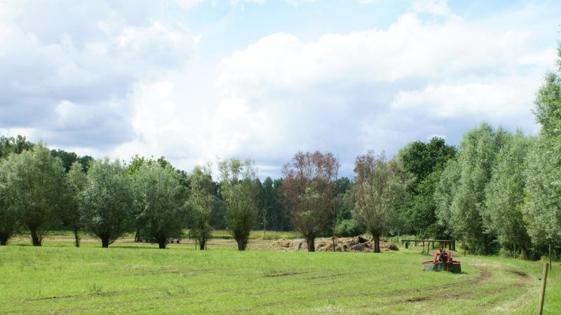 De Vlaamse Regering heeft enkele versoepelingen goedgekeurd voor de nulbemestingsregeling in de Speciale Beschermingszones van de Habitatrichtlijn (SBZ-H).
