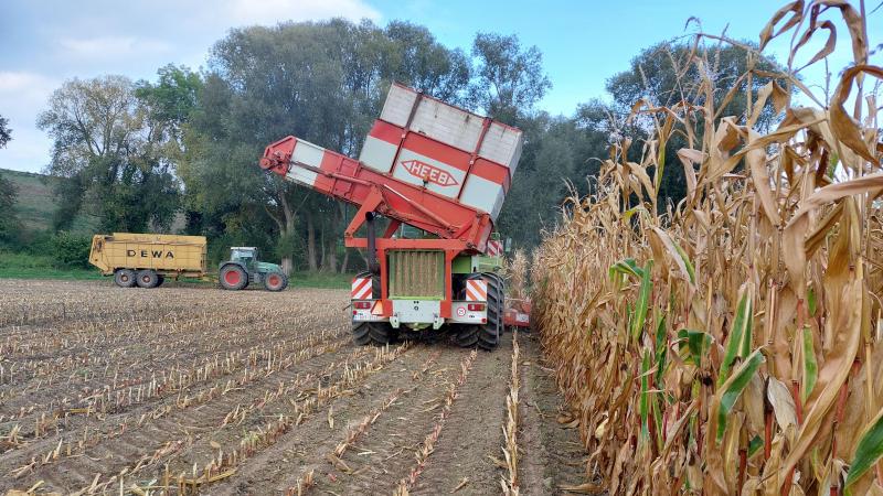 De maand september van dit jaar was over de hele planeet de derde warmste septembermaand ooit gemeten.