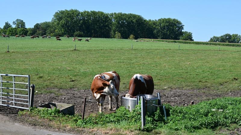 Minister Crevits beschouwt Leader als een belangrijk instrument voor plattelandsontwikkeling.