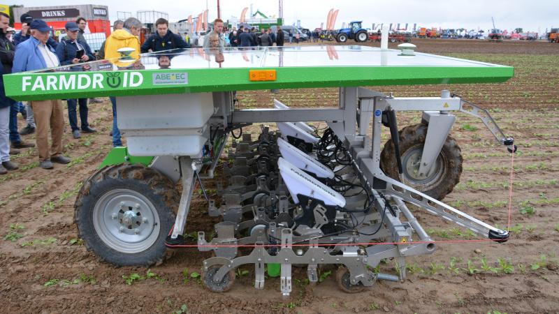 De volledig autonome Farmdroid schoffelde mooi in de rij tussen de enkele weken voordien gezaaide bieten.