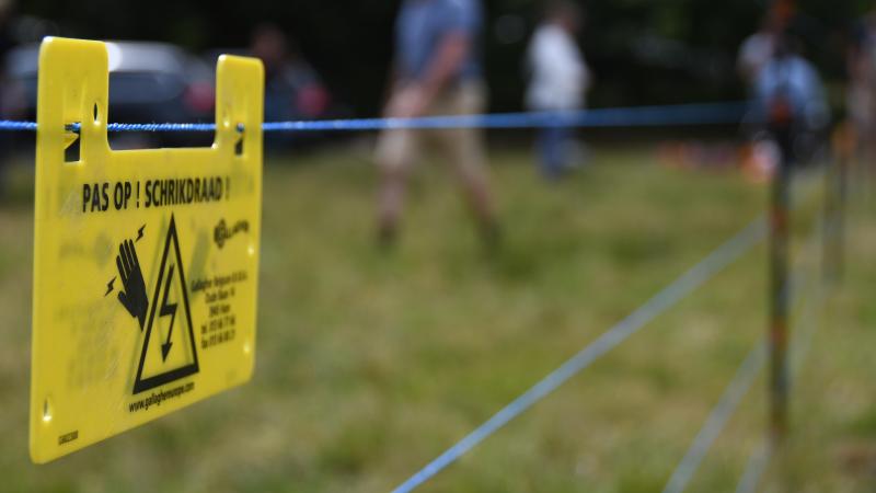 Met al 533 aanvragen dit jaar kent het Wolf Fencing Team een recordjaar.