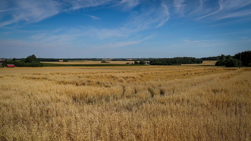 Landbouwgrond wordt stilaan onbetaalbaar, zeker voor jonge boeren en starters. De hectarepremies jagen de grondprijs aan.