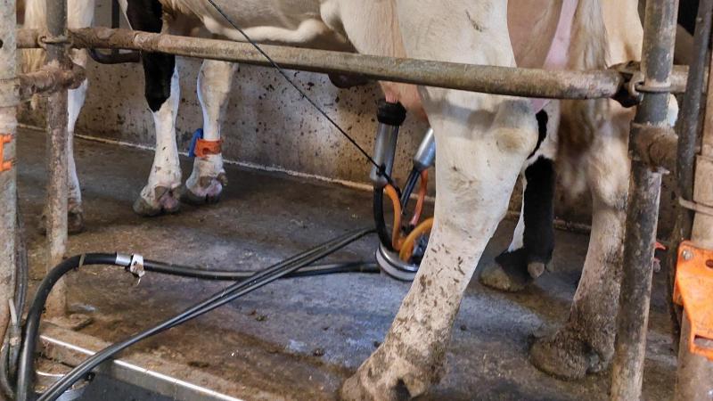 MTC stapte deze zomer over naar een nieuwe  werkwijze.