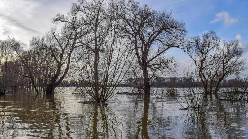 De buffers moeten het risico op overstromingen in de dorpskern van ’s Gravenvoeren aanzienlijk verkleinen en de landbouw versterken.