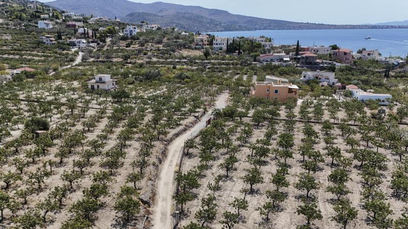 Het Griekse netwerk zou onder meer frauduleus landbouwgronden die hun eigendom niet waren aangegeven hebben, om Europese subsidies te krijgen.