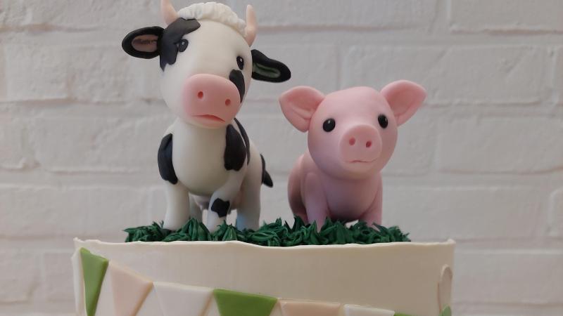 Bij een feest hoort taart, zo ook bij de viering van 10 jaar Varkenscampus en 11 jaar melkveestal!