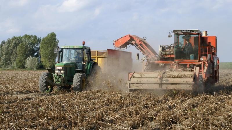 Sectororganisatie Belgapom meldt op 31 oktober een notering van 15 euro/ton (zonder btw) voor Fontane en Challenger.