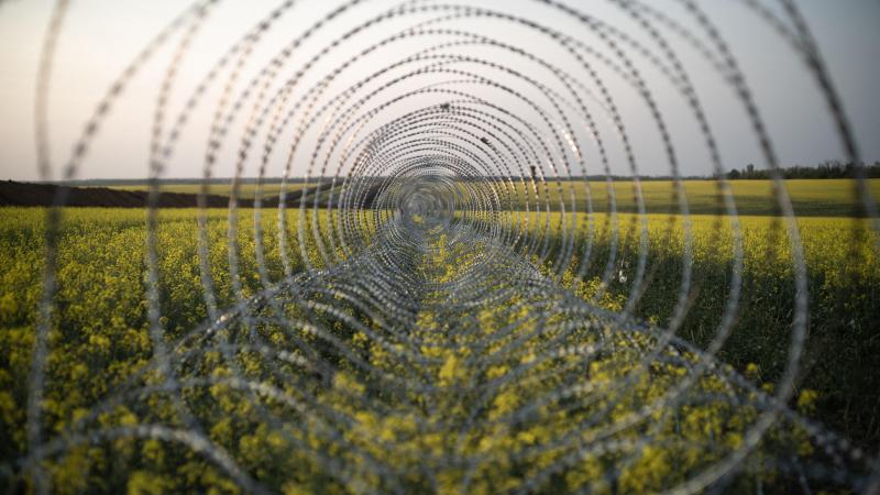 Door het nieuwe handelsakkoord zal Oekraïne meer geïntegreerd raken in de eengemaakte Europese markt.
