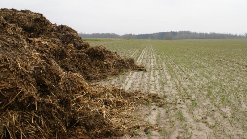 Voor de ecoregeling ‘verhogen organische koolstofgehalte - stalmest’ wordt de minimumtonnage stalmest verhoogd van 10 naar 15 ton/ha.
