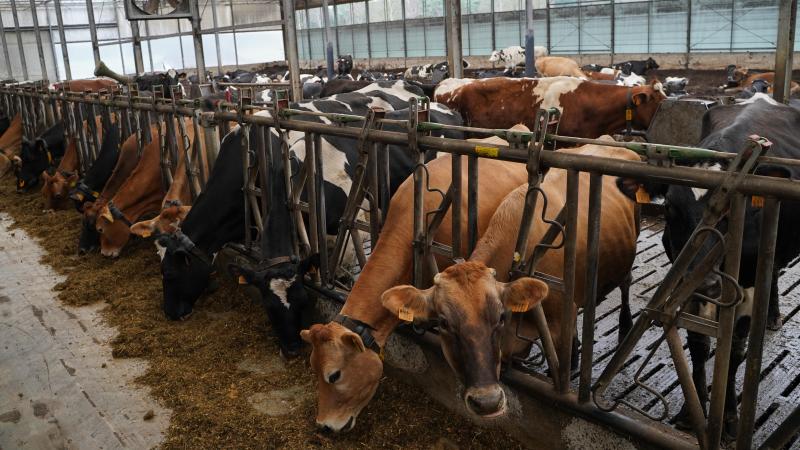 Kijk voor 31 december goed na of je je stallen correct hebt aangegeven in je verzamelaanvraag.