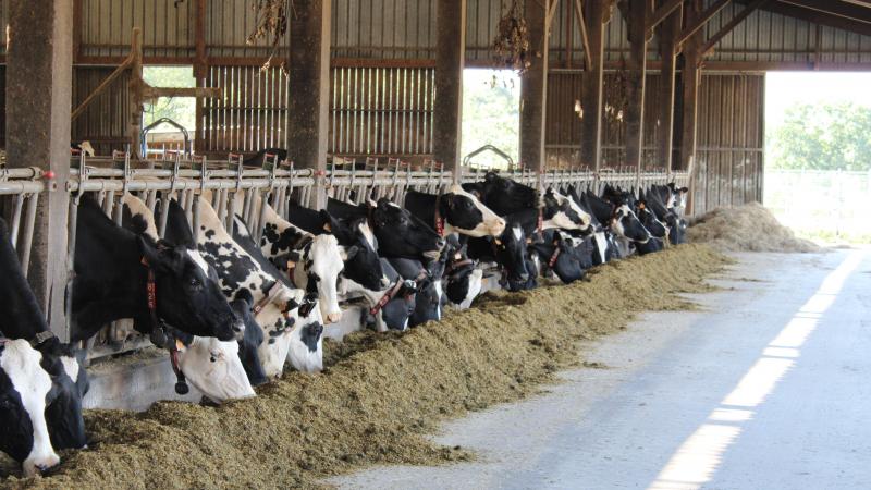 Maar liefst 87% van de bedrijven die een screening lieten uitvoeren, behaalde een A-niveau.