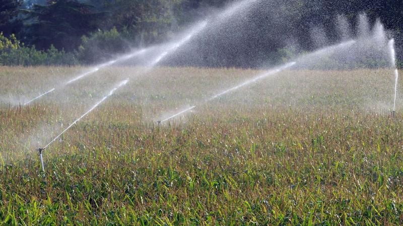 Irrigatielandbouw heeft volgens onderzoekers van de VUB een negatieve impact op hittestress en waterschaarste.